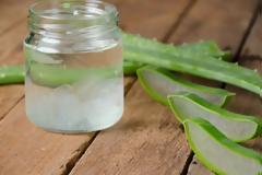 Αλόη: Ποιο είδος της βοηθάει και πού