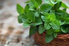 Μέντα για σύσφιξη!