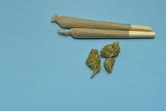 Τετραπλάσια η χρήση κάνναβης μεταξύ γονέων καπνιστών και μη