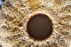 Ρύζι με λαχανικά και σάλτσα μουστάρδας