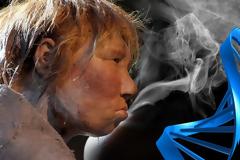 Οι επιστήμονες θα πειραματιστούν με «μίνι εγκεφάλους», με DNA Νεάντερταλ