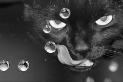 Βολτέρος – Δεισιδαιμονία