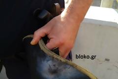 Το κράνος τον προστάτευσε από τη φωτοβολίδα (ΦΩΤΟ)