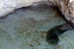 Ο εφιάλτης καραδοκεί στον Κορινθιακό: Αυτά τα βρέφη που μεγαλώνουν σε σπηλιά προκαλούν τρόμο!