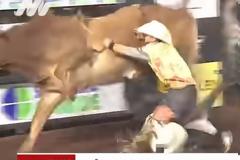 Σοκ: Καουμπόι σε ροντέο πέφτει νεκρός μετά από ποδοπάτημα ταύρου