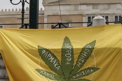 SOS για την κάνναβη από τα κέντρα απεξάρτησης: Δεν υπάρχει «ψυχαγωγική» χρήση, οι εξαρτημένοι είναι σαν ηρωινομανείς!