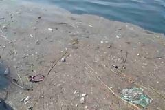 Γέμισε φυτοπλαγκτόν και σκουπίδια ο Θερμαϊκός