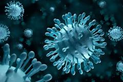 Ανησυχία για θανατηφόρα επιδημία