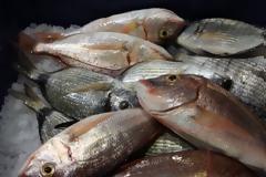 Κατασχέθηκαν 30 κιλά ακατάλληλα ψάρια σε εστιατόρια του Πειραιά