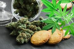 Φαρμακευτική κάνναβη: Σε ΦΕΚ η υπ. απόφαση με την υπογραφή 4 υπουργών