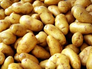 Φωτογραφία για Έμπορος από τα Γιάννενα πωλούσε πατάτες στην Αιτωλοακαρνανία και έφαγε πρόστιμο