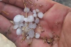 Λάρισα: Ισχυρή χαλαζόπτωση έπληξε χωριά - Μεγάλες καταστροφές στις καλλιέργιες