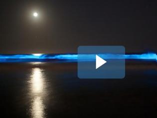 Φωτογραφία για Η «απίστευτη» βιοφωταύγεια δίνει στην Καλιφόρνια μια απόκοσμη μπλε λάμψη [video]