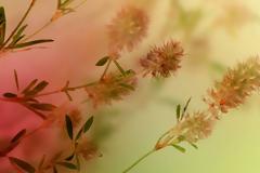 Πέτρος Θεοδώρου – Η ανθρώπινη ύπαρξη στη χρονική γραμμή του ρέοντος παρόντος και το “τώρα” του Paul Goodman