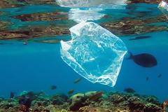 Μέχρι 2 γραμμάρια μικροΐνών καταλήγουν στη θάλασσα μετά από κάθε πλύση