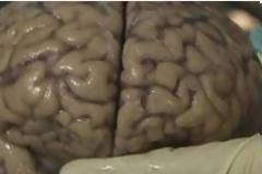 Τι συμβαίνει τη στιγμή του θανάτου μας;