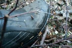 13 Άνθρωποι που στάθηκαν υπερβολικά τυχεροί!