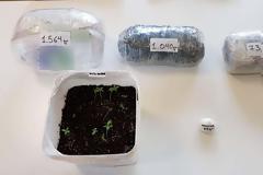 Συλλήψεις για ναρκωτικά στην Κοζάνη