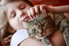 Οι γάτες (όχι οι σκύλοι) σώζουν τα παιδιά από άσθμα