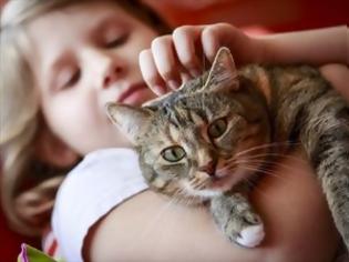 Φωτογραφία για Οι γάτες (όχι οι σκύλοι) σώζουν τα παιδιά από άσθμα