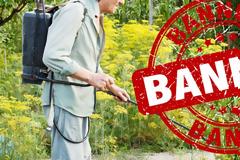 Glyphosate Should Be Banned By EPA And The Law It’s A Hormone Disruptor