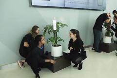 Κάνοντας bulling σε ένα φυτό! Απίστευτο κοινωνικό πείραμα!