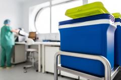 Αντικαρκινικά φάρμακα: Ατζέντες-φωτιά και πολύτιμοι λίθοι