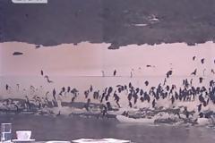 Θάλασσα: Θαλάσσιο καταφύγιο στην Ανταρκτική