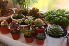 Αυτά είναι τα πιο γρουσούζικα πράγματα που έχουμε στο σπίτι μας!