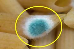 Τι θα συμβεί αν φάτε κάτι που έχει πιάσει μούχλα