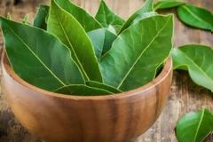 Ζέστη και κατσαρίδες - Τρεις φυσικοί τρόποι για να τις εξαφανίσετε από το σπίτι σας