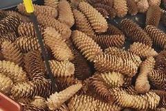 To αμάξι του έκανε 