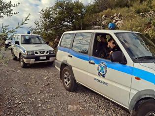 Φωτογραφία για «Τσάκωσαν» στα σύνορα Αλβανούς να μαζεύουν το πανάκριβο «λουλούδι του Δαρβίνου»