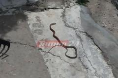 Πάτρα: Αναστάτωση και 