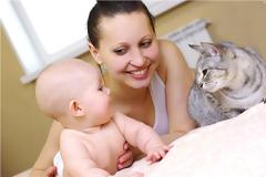 Τα εξανθήματα της πάνας και πώς θα τα προλάβετε