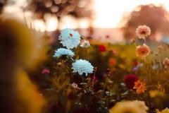 Ποιος μπορεί να εμποδίσει την άνοιξη στη ζωή σου; Ποιος άλλος εκτός από σένα;