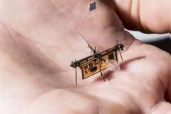 Αυτό είναι το πρώτο ρομπότ-έντομο