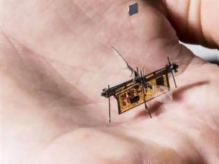 Φωτογραφία για Αυτό είναι το πρώτο ρομπότ-έντομο