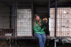 Διεθνής εκστρατεία κατά του εμπορίου κρέατος σκύλου