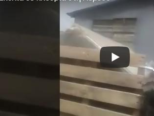 Φωτογραφία για Λεμεσός: Βίντεο από διάσωση σκύλλων που διέμεναν σε άθλιες συνθήκες [video]