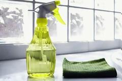 Τα πολύ καθαρά σπίτια αυξάνουν τον κίνδυνο για παιδική λευχαιμία