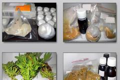 Εξαρθρώθηκαν 2 σπείρες που πουλούσαν ναρκωτικά στη Λαμία - 10 συλλήψεις πάνω από 100 άτομα εμπλέκονται