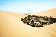 Ένα καταπράσινο «νησί» σε μια θάλασσα… άμμου!