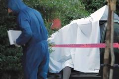 Το ΠΑΣΟΚ καταγγέλει site και κάνει μήνυση -Τι είχε γράψει για την Μαρφίν και τον θάνατο του Αρχιφύλακα Ν.Σάββα