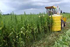 Οι απαντήσεις Tόσκα - Κουρουμπλή για τις συλλήψεις για κλωστική κάνναβη