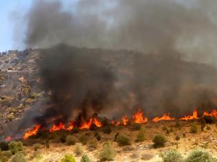 Φωτογραφία για Καταστροφική πυρκαγιά στην Αγκαιριά της Πάρου