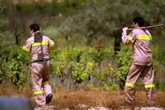 229 εποχικές προσλήψεις σε Δασαρχεία της Εύβοιας με μηνιαίο μισθό από 431€ εως 495€ ευρώ