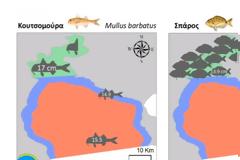 Η αναγέννηση του Θερμαϊκού που κηρύχθηκε προστατευόμενη περιοχή