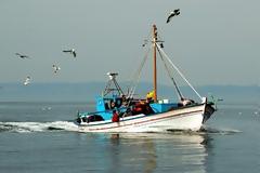 Απαγόρευση αλιείας σε περιοχές αρμοδιότητας Λιμεναρχείου Σαρωνικού