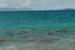 Κουρουμπλής: Δεν υπάρχει μελέτη για τις τσούχτρες